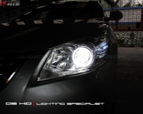 DS HID 6000K + Angel Eyes