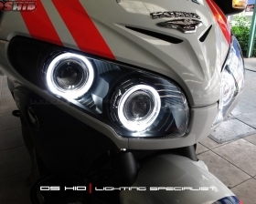 DS Projector Bixenon + DS HID 6000K + Angel Eyes + Blackhousing