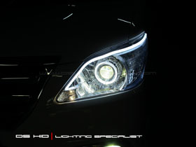 DS Projector Bixenon + DS HID + Angel Eyes + Led Stip