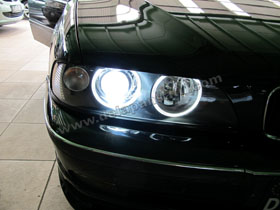 DS HID 6000K + Angel Eyes ( Replacement Bulb )